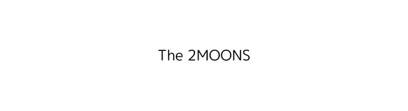 The 2MOONS